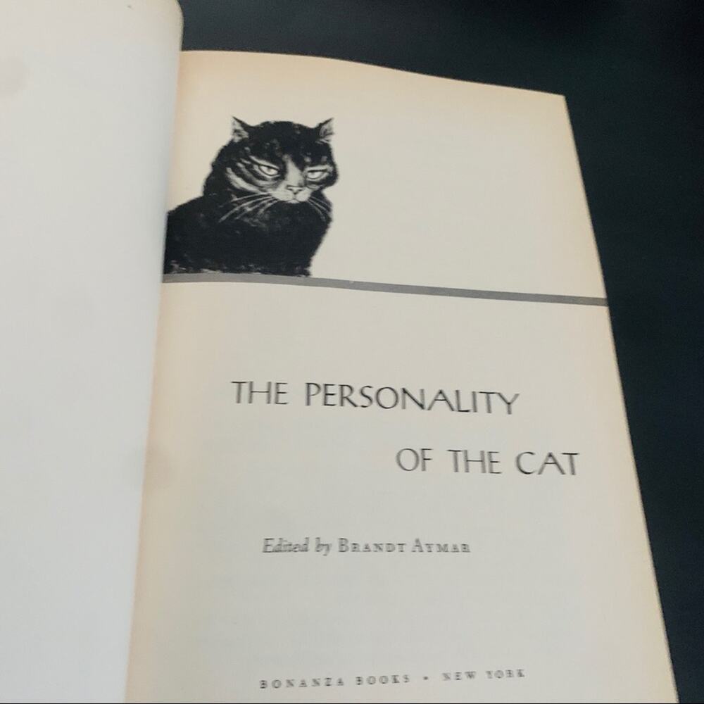 1989 The Personality of the Cat